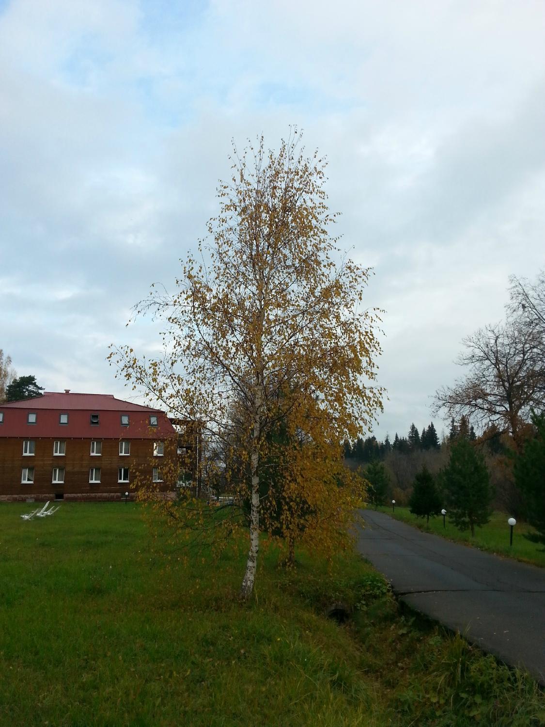 Verbilki Pension-客卧