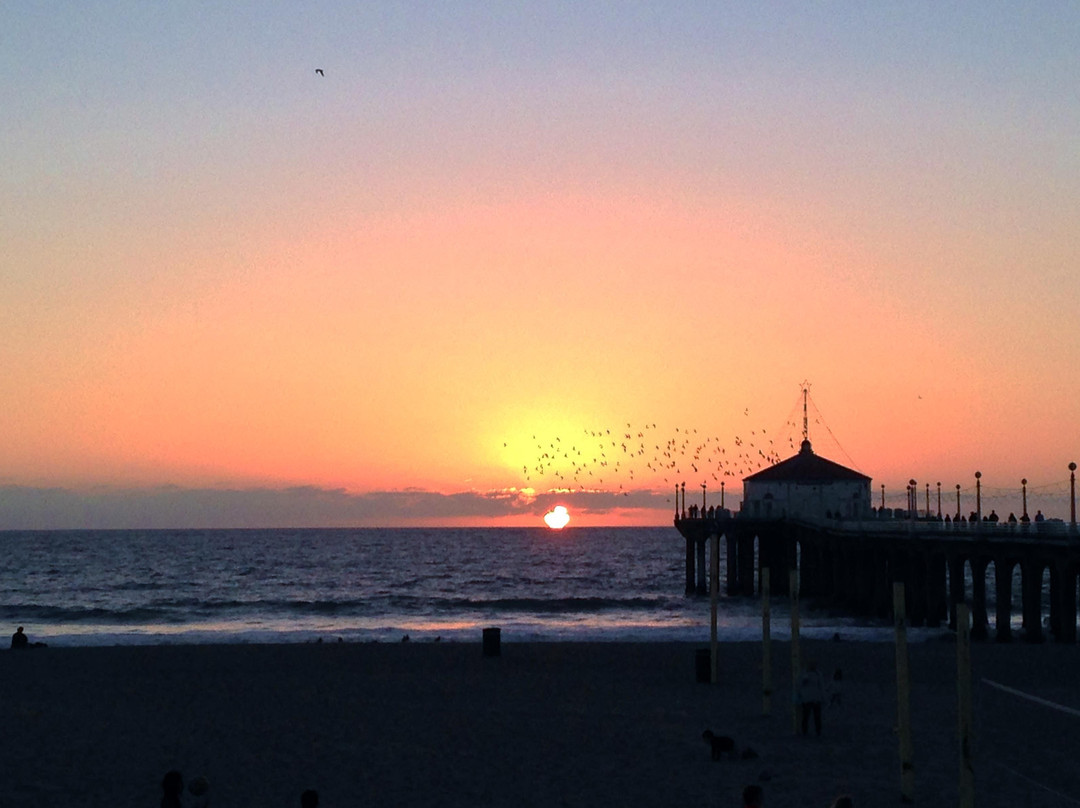 Roundhouse Marine Studies Lab and Aquarium-曼哈顿海滩必去景点