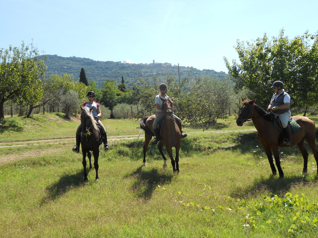 Agriturismo Il Frantoio-科尔托纳必去景点