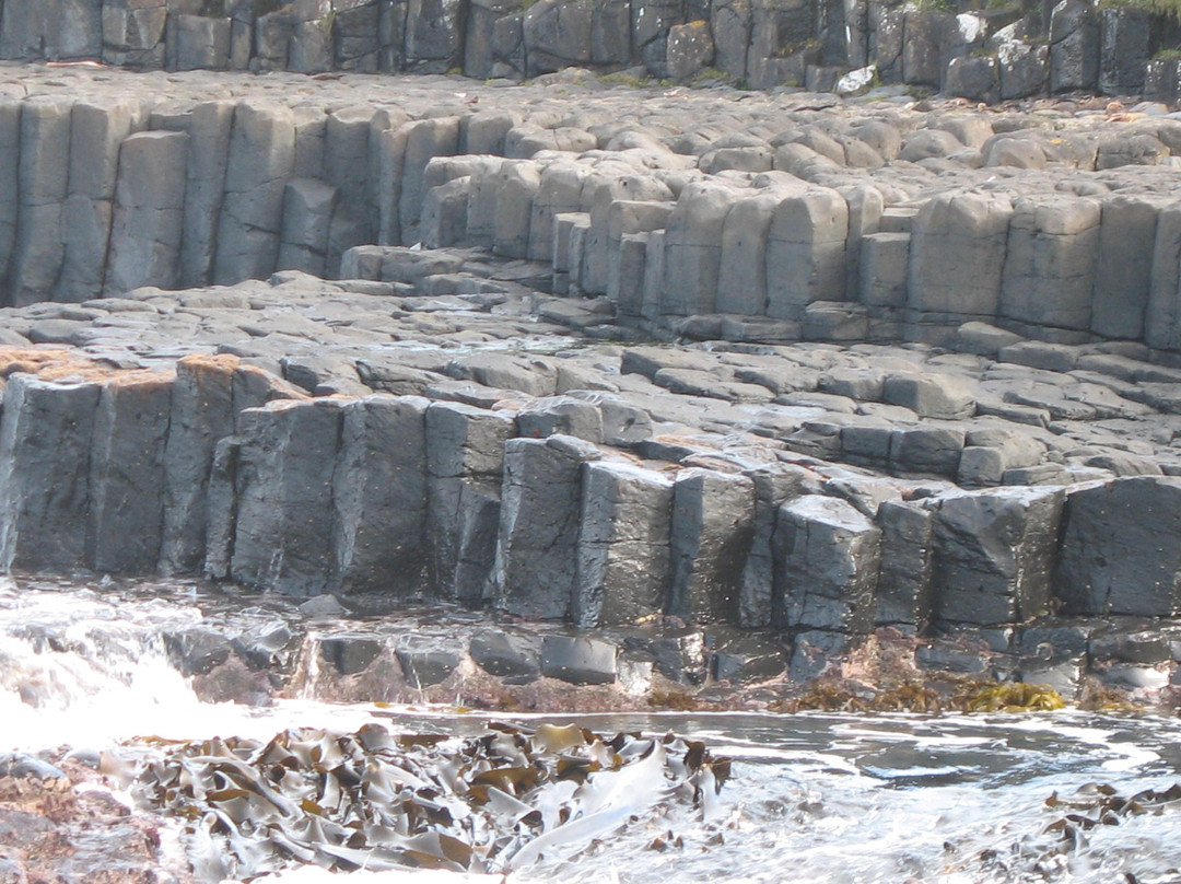 Basalt Columns-Chatham Island (Rekohu)必去景点