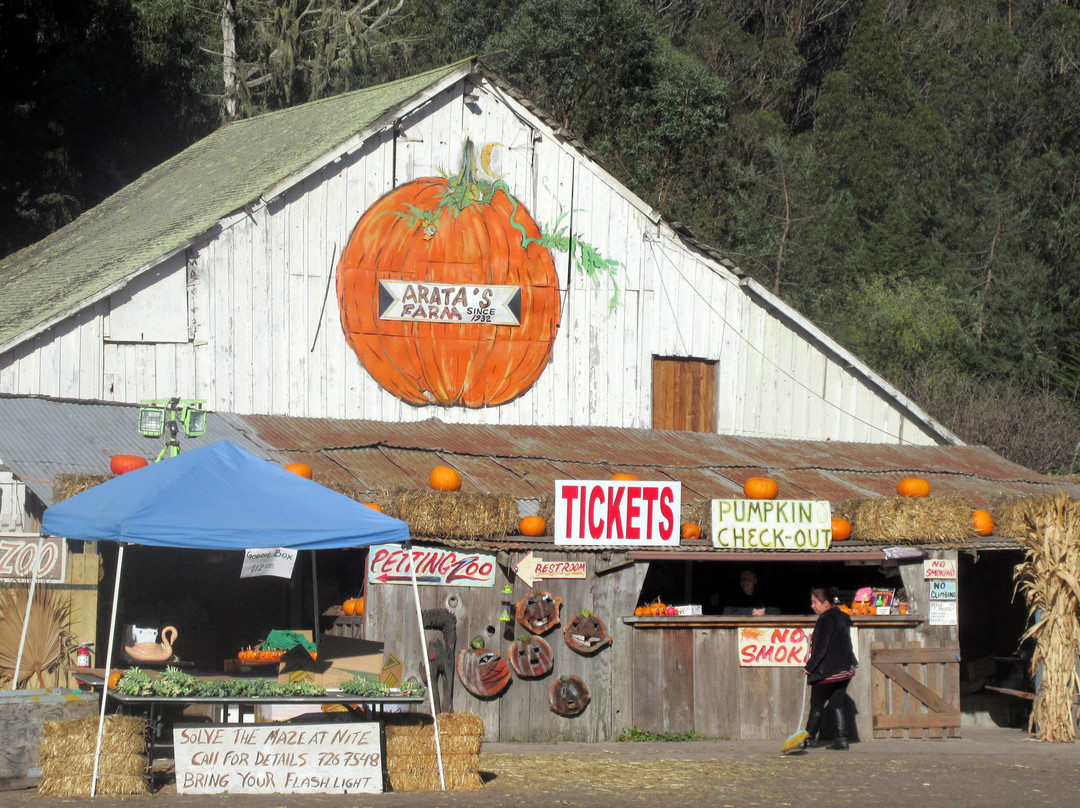 Arata Pumkin Farm-半月湾必去景点