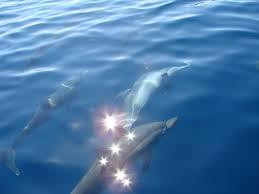 Campuyo Aroma Beach Resort主图