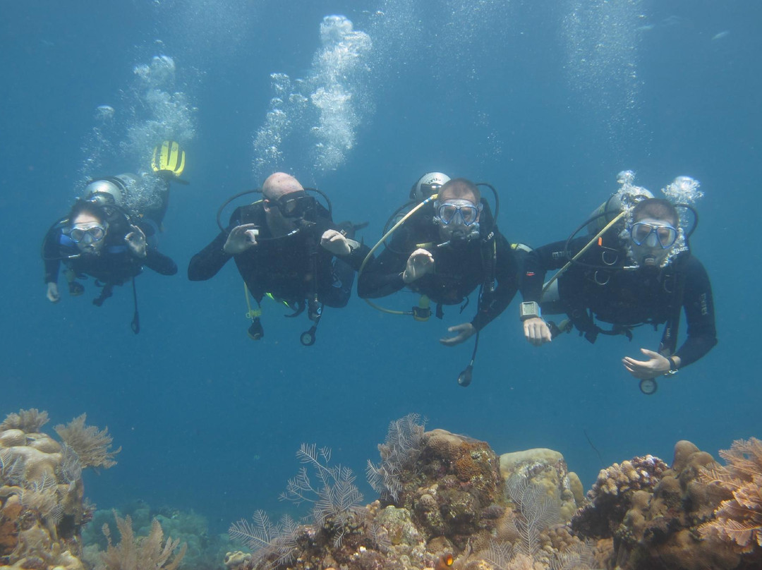 Relax Bali Wreck Dive Center-库布必去景点