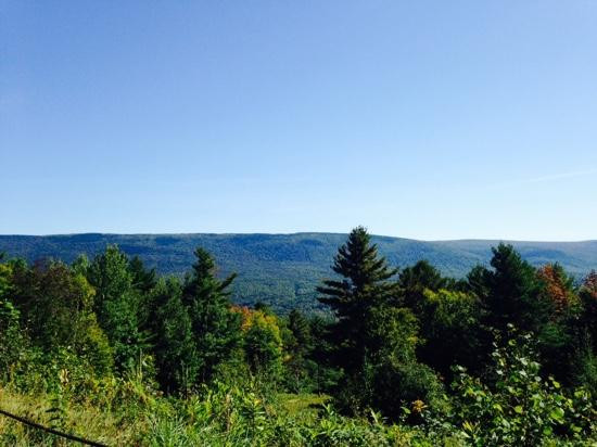 Equinox Preservation Trust-曼彻斯特必去景点