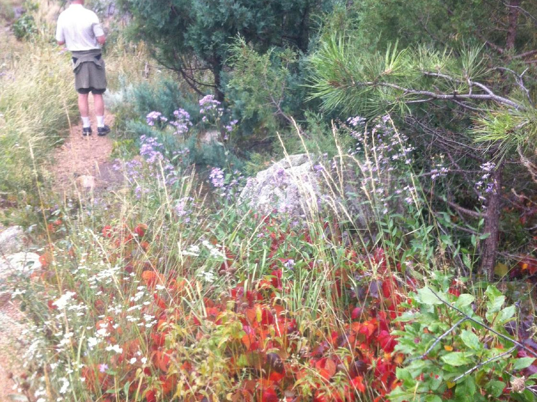 Cache La Poudre Wilderness-Livermore必去景点