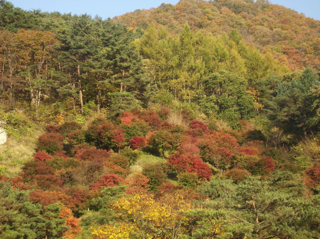 Mungyeong Saejae Provincial Park景点图片