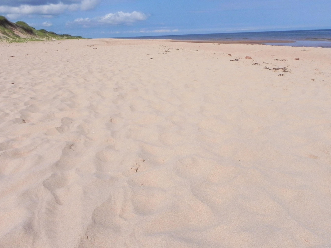 Brackley Beach-Brackley Beach必去景点
