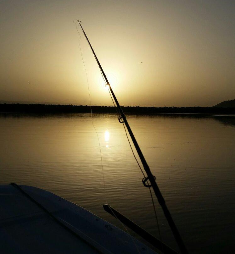 Light Tackle Adventure Tarpon Fishing-Cabo Rojo必去景点