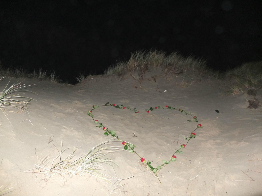 Hotel Sonnevanck主图