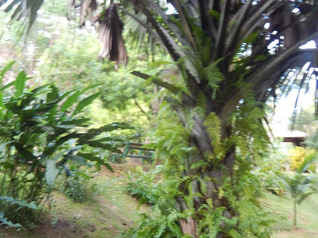 Jardin Botanique de Coconi-Ouangani必去景点