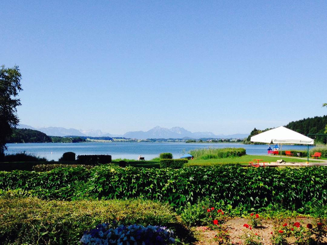 Henndorf am Wallersee酒店住宿-Seehotel Winkler