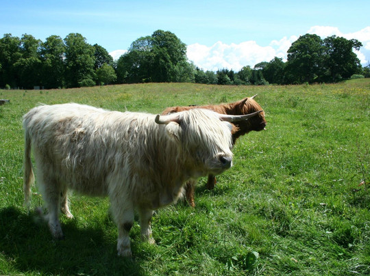 Timberbush Tours Glasgow - Day Tours-格拉斯哥必去景点