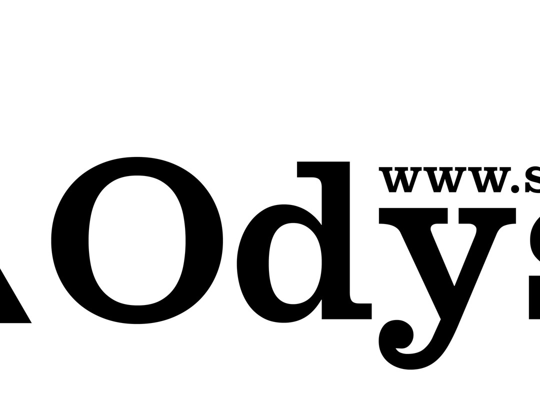 Odyssey SurfSnowStyle景点图片