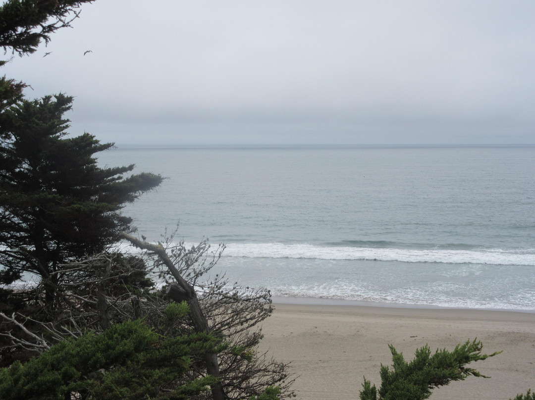 Sunset State Beach-沃森维尔必去景点