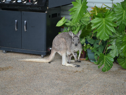 Holistic Health Retreat主图