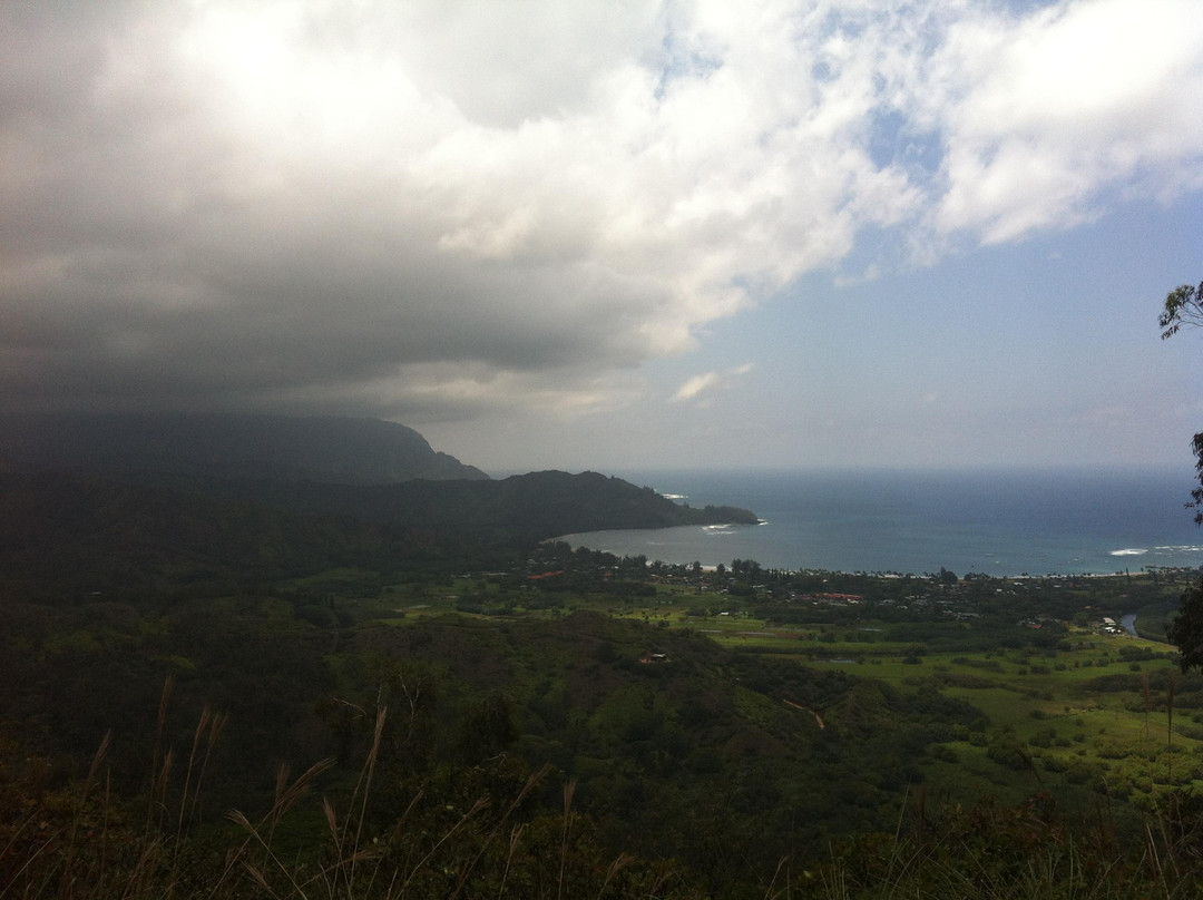 Okolehao Trail-哈纳雷伊必去景点