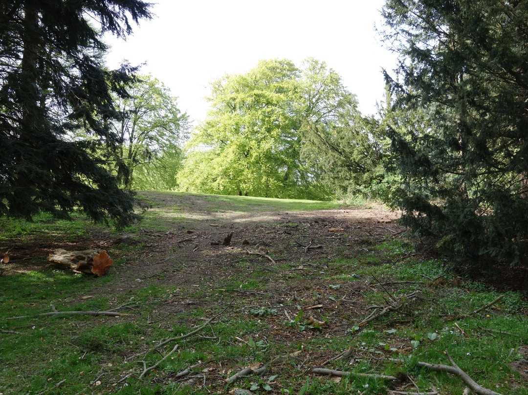 Charlottenlund Slotshave景点图片