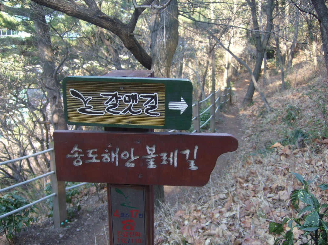 岩南公园-釜山必去景点