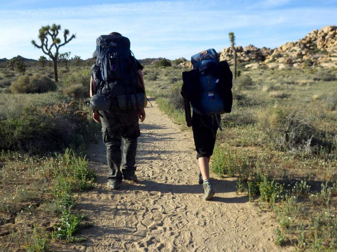 Boy Scout Trail-约书亚树国家公园必去景点