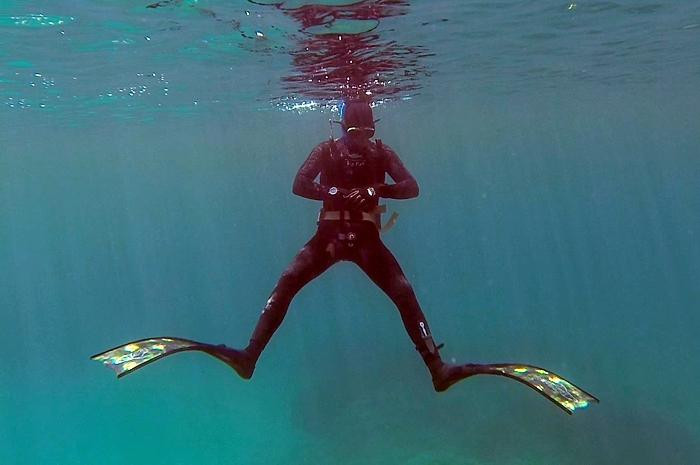 Reef Freediving Snorkeling Club景点图片