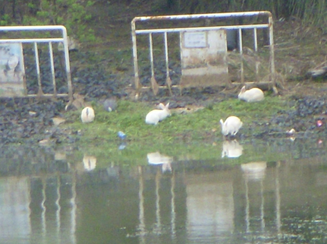 龙湖风景区-蚌埠市必去景点