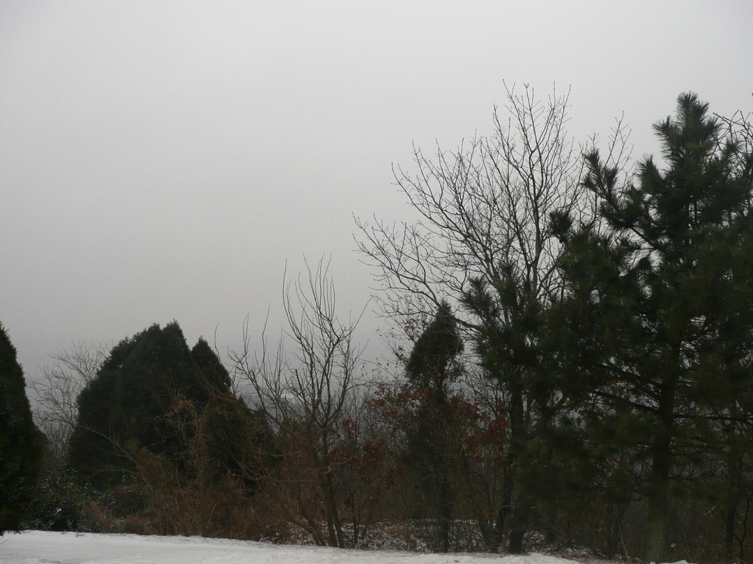 猴石山-大连市必去景点