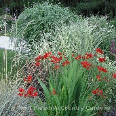 Plant Paradise Country Gardens-卡利登必去景点