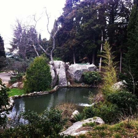 Berehove旅游景点-Forosskiy Park
