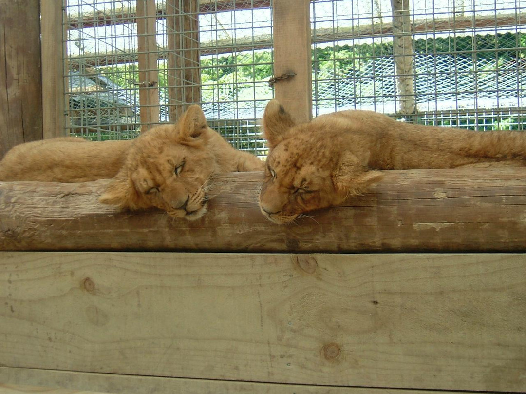 天堂谷温泉野生动物园-罗托鲁瓦必去景点