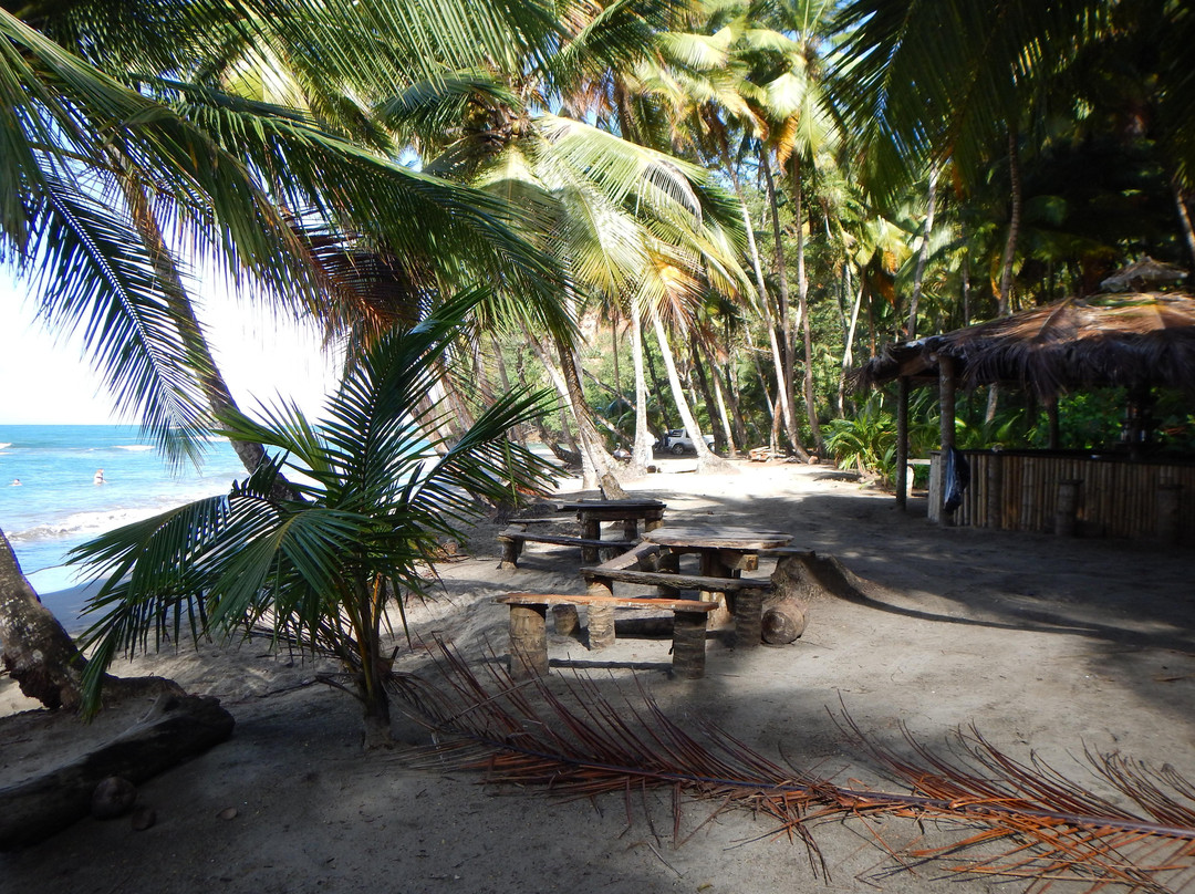 Batibou Beach-Hampstead必去景点