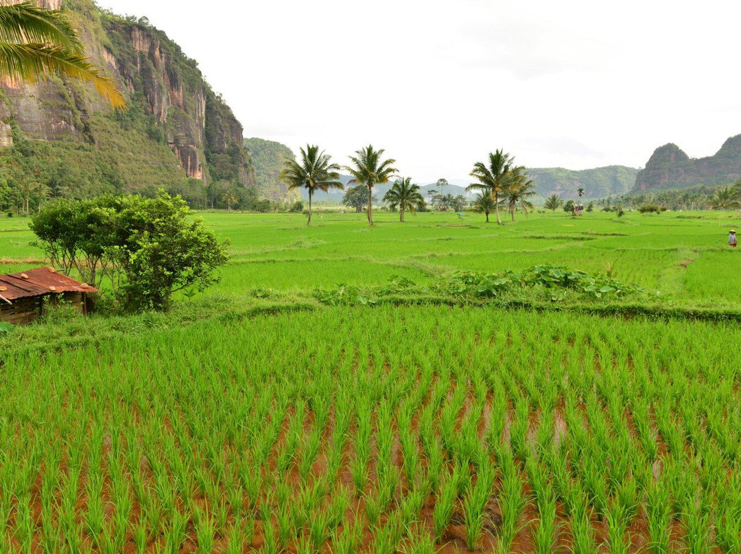 Harau Canyon-Tarantang必去景点