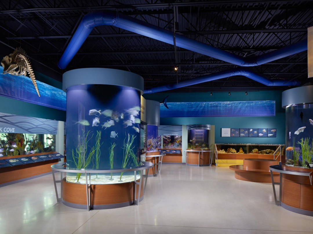 COX Science Center and Aquarium景点图片