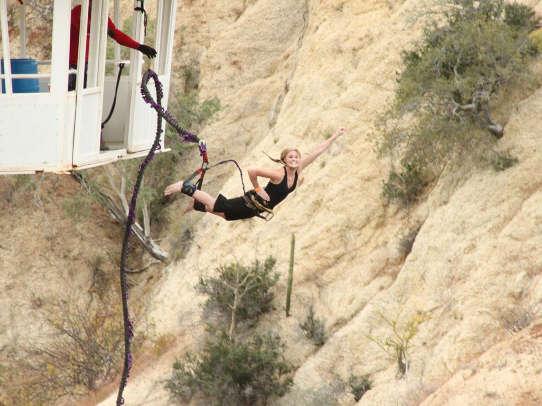 Wild Canyon Adventures-卡波圣卢卡斯必去景点