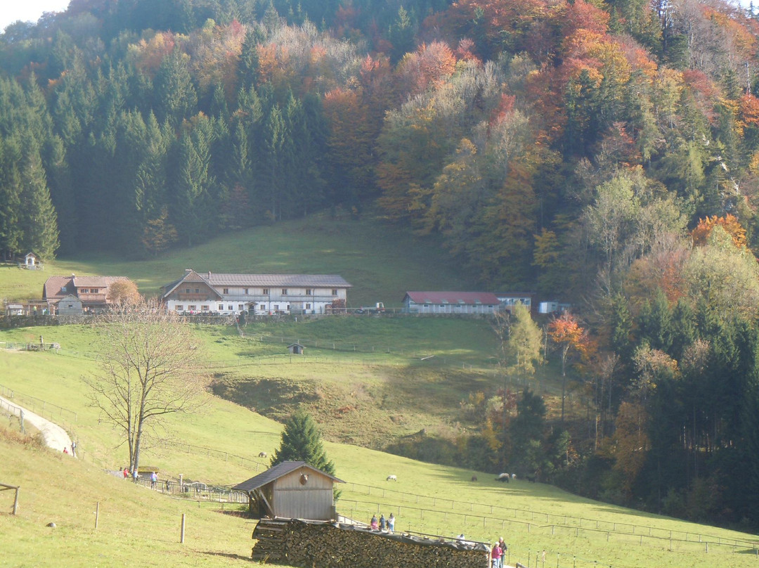 特劳恩克申餐馆和美食-Almgasthof Hochsteinalm