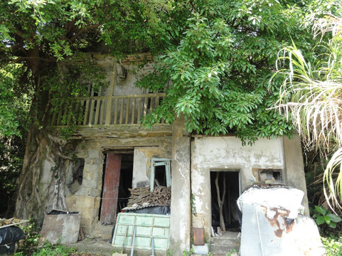 Walk Hong Kong-香港必去景点