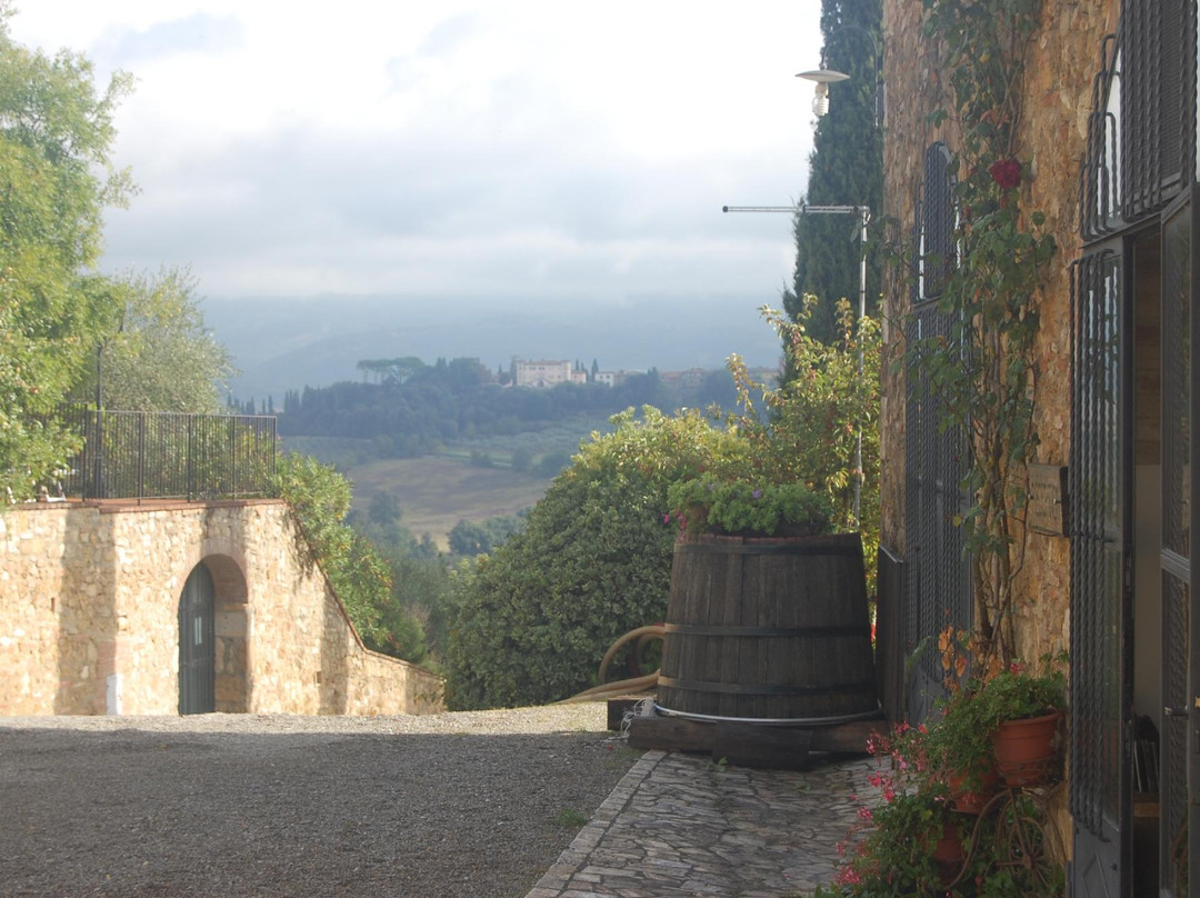 Azienda Agricola Montalpruno景点图片