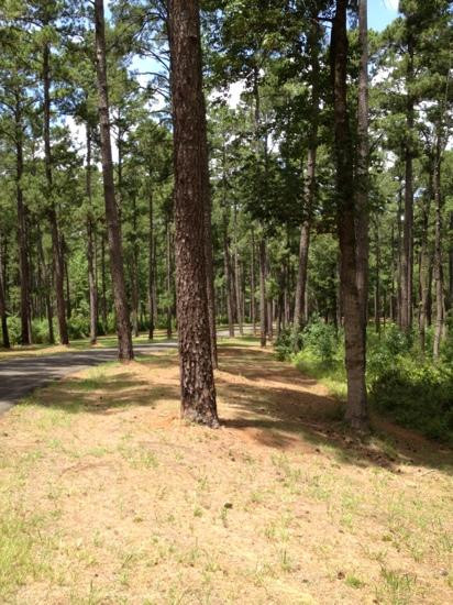 Mission Tejas State Park-Grapeland必去景点