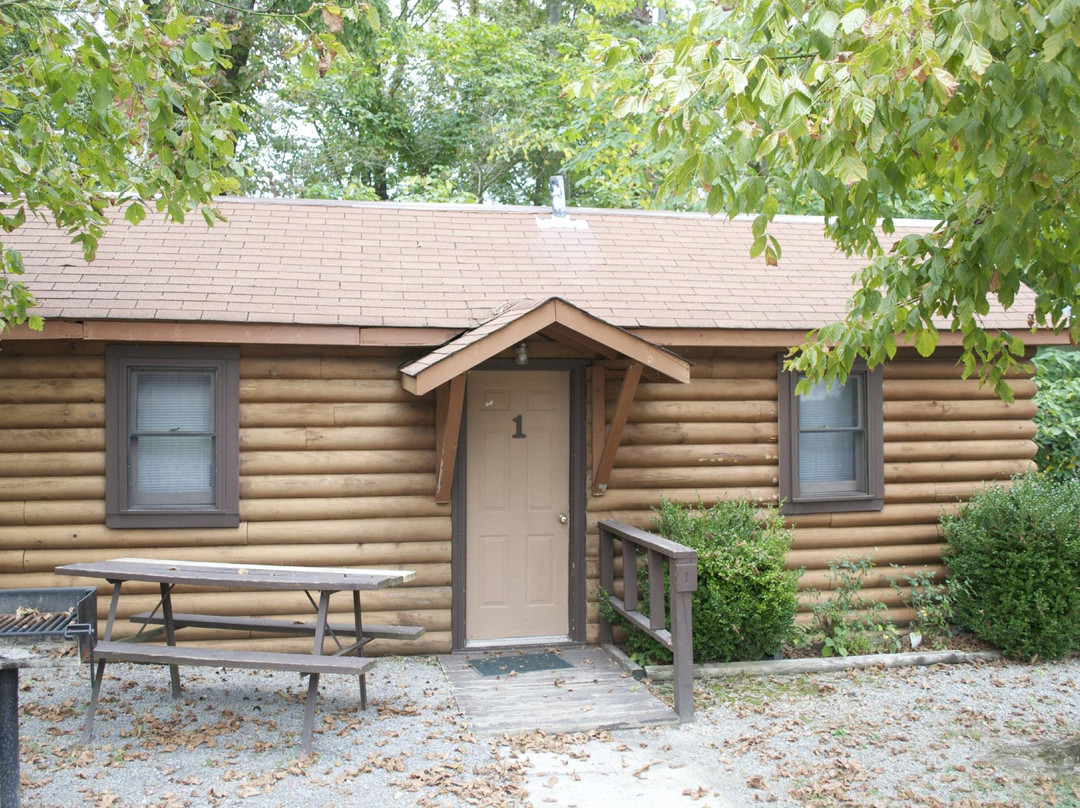 Alligator II Marina-Russell Springs必去景点