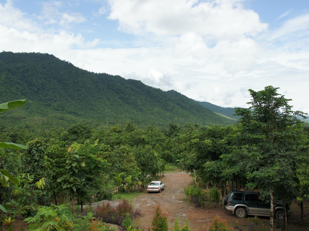 Green Hill Valley Elephant Camp- Day Tours-格劳必去景点