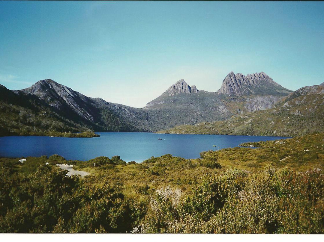 Let's Show You Tasmania - Day Tours景点图片