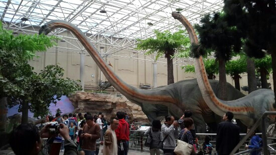 北京自然博物馆-北京市必去景点