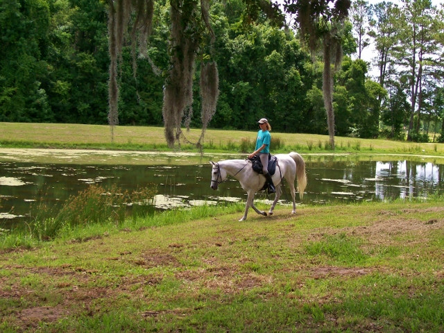 R.O. Ranch Equestrian Park-Mayo必去景点