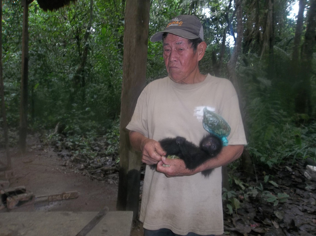 Camping Madidi Tours - Private Day Tours-Madidi National Park必去景点