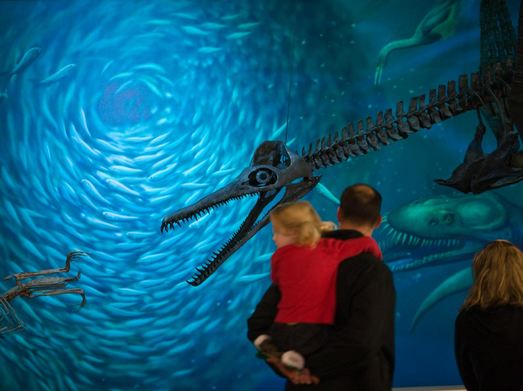 卡内基自然历史博物馆-匹兹堡必去景点