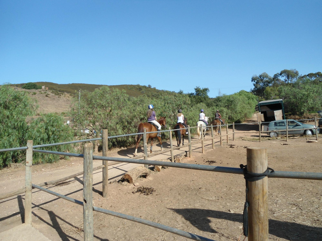 QPA Horse Riding Centre景点图片