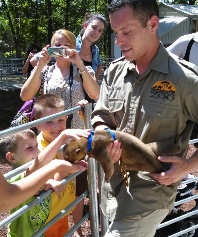 Branson's Promised Land Zoo-布兰森必去景点