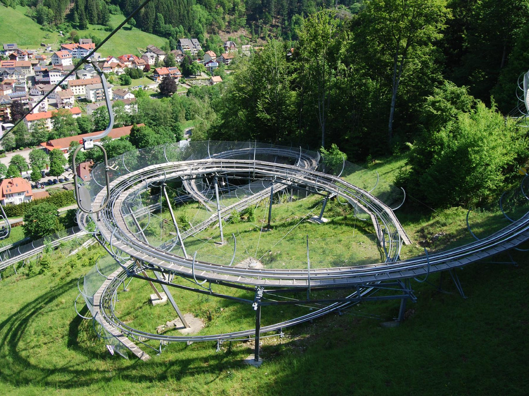 托特瑙旅游景点-Hasenhorn Coaster Todtnau