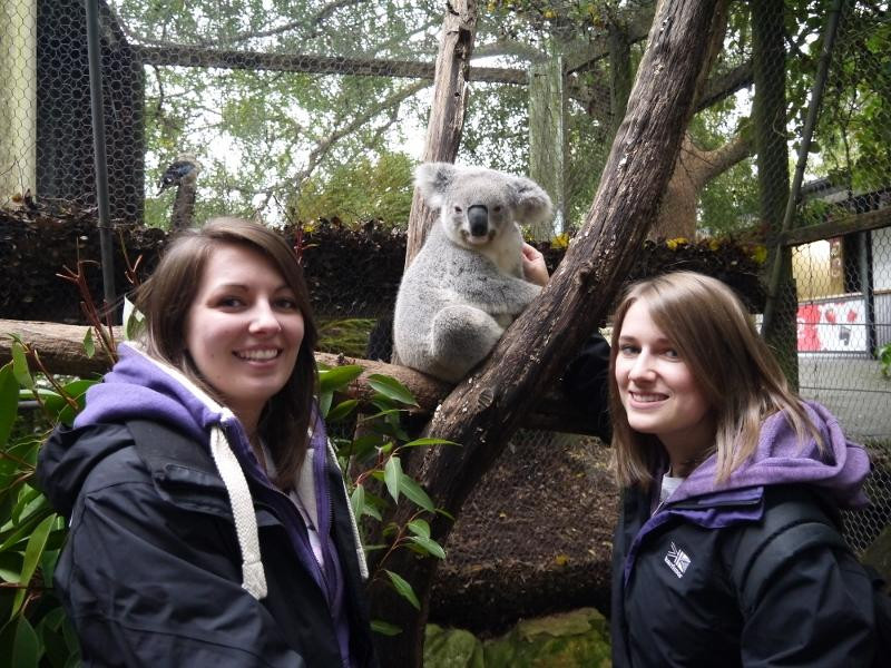 Symbio Wildlife Park-海伦斯堡必去景点