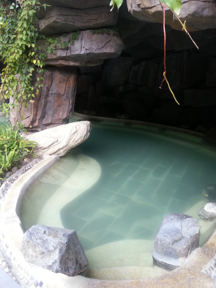 腾冲热海温泉度假酒店·美女池-客卧