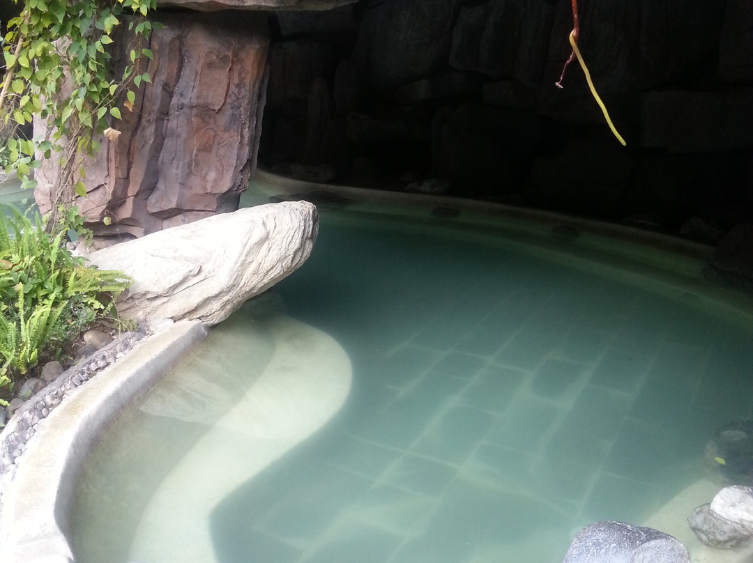 腾冲热海温泉度假酒店·美女池主图